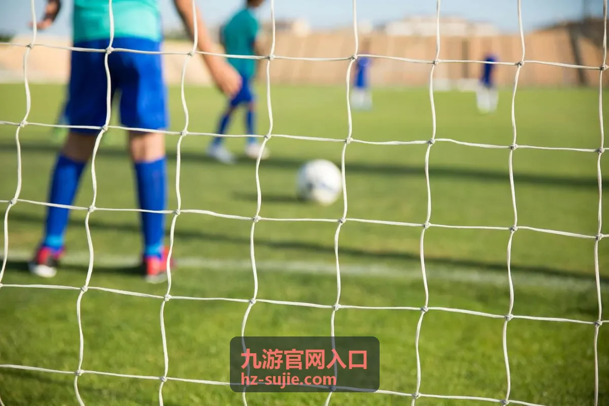 九游官网入口功能页面导航示意图
